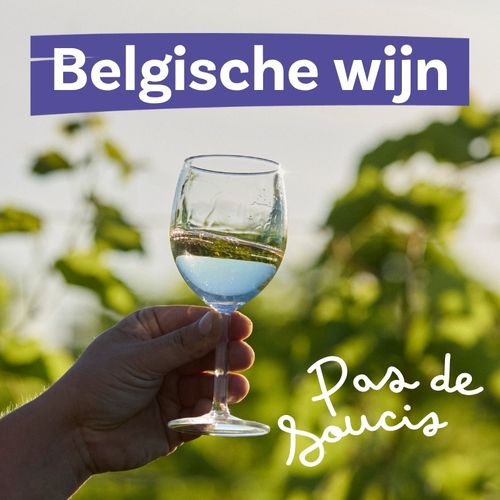 Succes gegarandeerd met Pas de Soucis: een witte wijn van Belgische bodem
